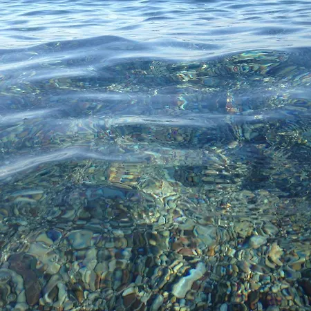 Sea Breeze * Лакания